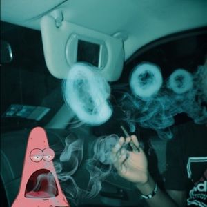 Meet your Posher, Noah